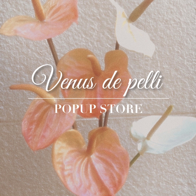 【 Venus de pelli 】 ~ my ones place ~